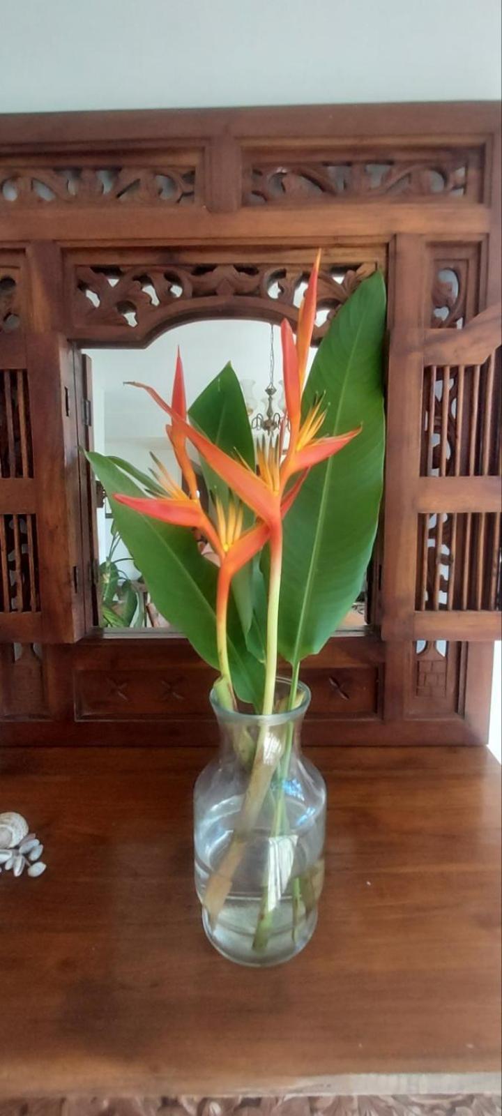 Residence71Nadi Fiji ภายนอก รูปภาพ
